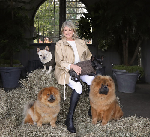 Martha Stewart, Marquee Brands and Canopy Growth Announce Martha Stewart CBD for Pet Line (CNW Group/Canopy Growth Corporation)