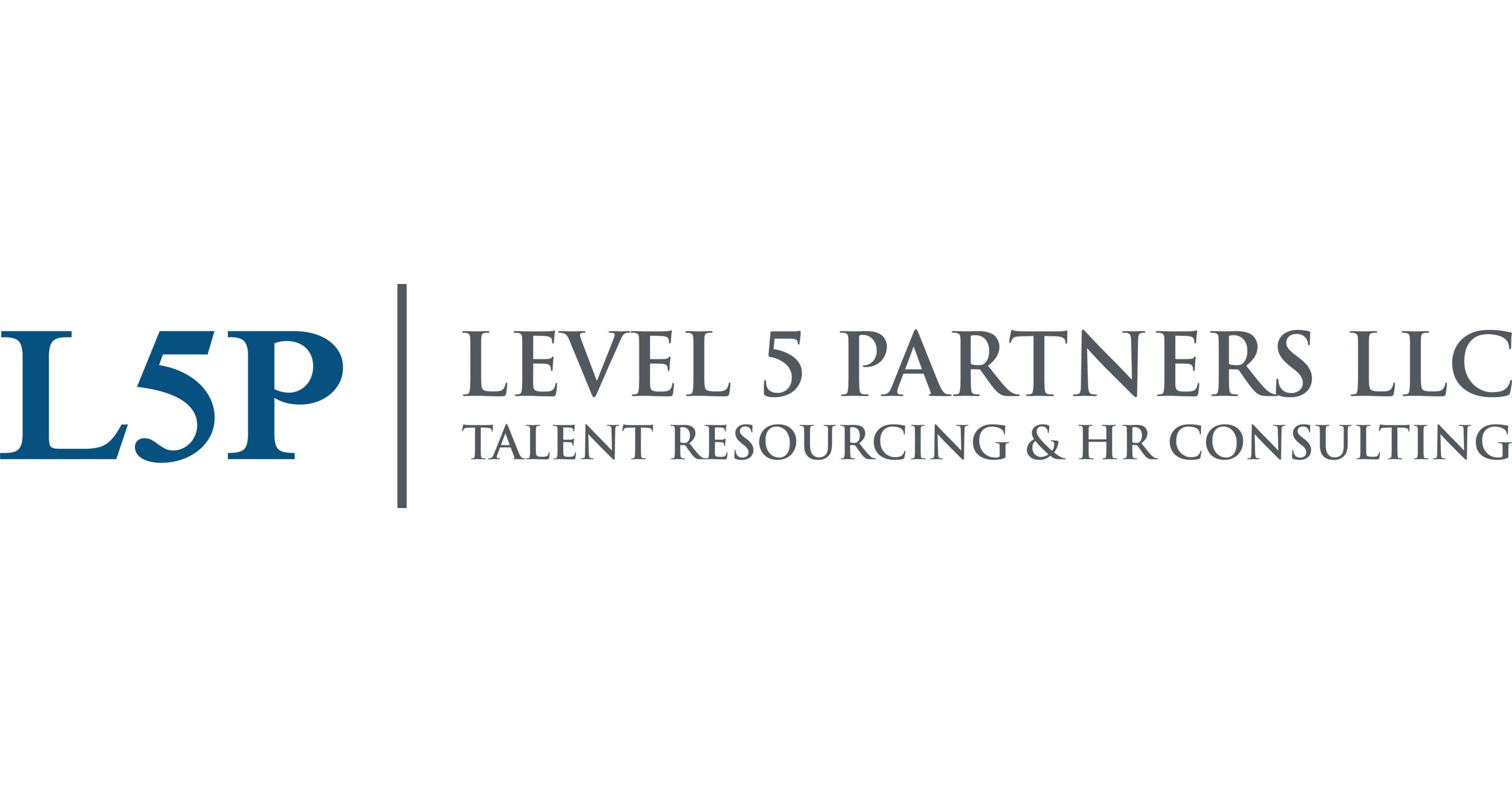 Level 5 Partners Formed To Create The Recruiting Industry S Premier Consulting Driven Executive Search Firm