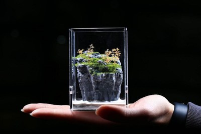 Customize tiny formicarium