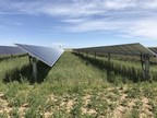 Pivot Energy Completes 34-Megawatt Community Solar Portfolio Through Illinois Adjustable Block Program