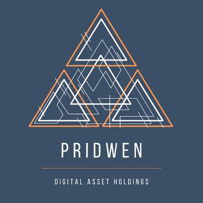 Pridwen, the first digital asset management and storage company for gamers