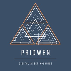 Planning on Being a Successful Gamer? Now is The Time to Protect Your Digital Assets With Pridwen