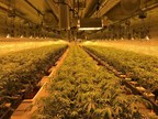 The Pot Shop, Cannabis Shipping to all 50 States