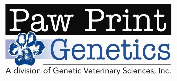 Paw Print Genetics Launches 46 New Tests for Inherited Diseases and Traits Found in Canines
