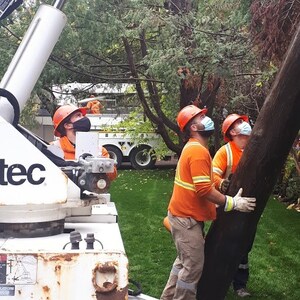 Hydro Ottawa au palmarès des meilleurs employeurs pendant une année sans précédent