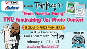 The Cat Fanciers' Association (CFA), ZYMOX &amp; Oratene Present: TrapKing's "From Feral to Fancy" TNR Fundraising Cat Photo Contest