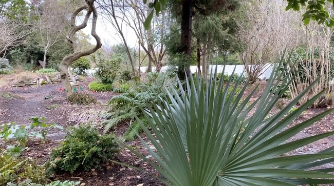 Juniper Level Botanic Garden, Raleigh, NC - Courtesy Julie Dixon