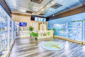 Virtual Medical International (OTC: QEBR) Signs Agreement To Open Ten New Whole Health Stores With Natural Life In Florida