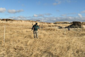 Le gouvernement du Canada investit dans des efforts de conservation à la réserve de parc national de l'Île-de-Sable