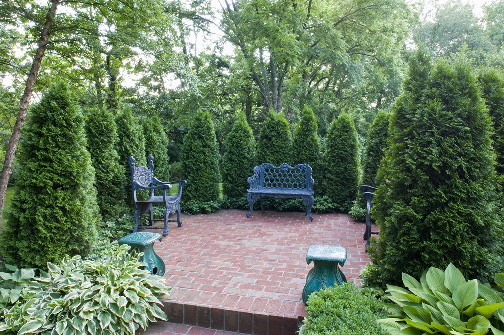 Growth in Gardening Interest Nationwide Puts Spotlight on North Carolina's Premier Online Nursery PlantingTree™ - Vimarsana News