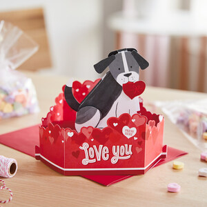 Hallmark Helps Celebrate What Valentine's Day Is Really About -- Love for All. All for Love.