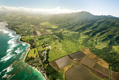 Dillingham Ranch on the North Shore of Oahu: $45 million