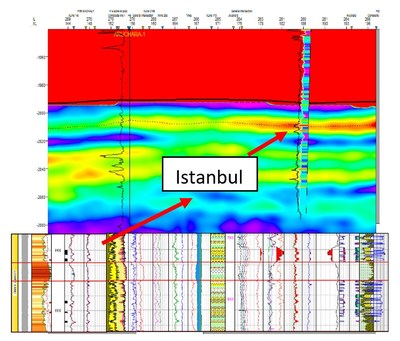 NG Energy to Re-Enter Istanbul-1 Well in the Maria Conchita Block in
