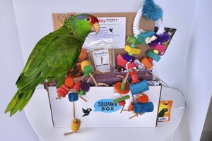 Squawk Box Upgrades Website for 5th Anniversary