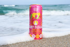 Funky Buddha Brewery Announces Expansion Plans For Premium Hard Seltzer Product Line