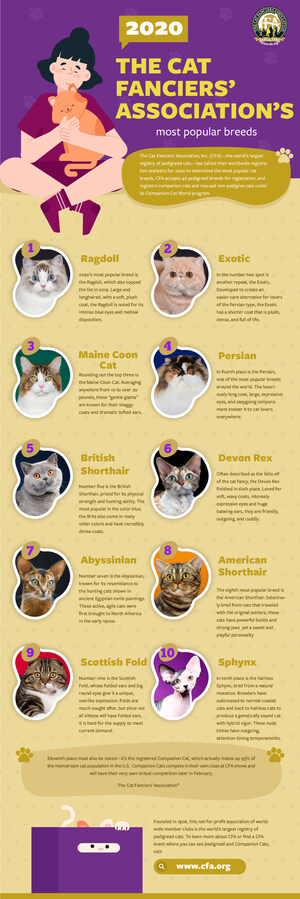 The Cat Fanciers' Association Reveals The Ten Most Popular Breeds For 2020
