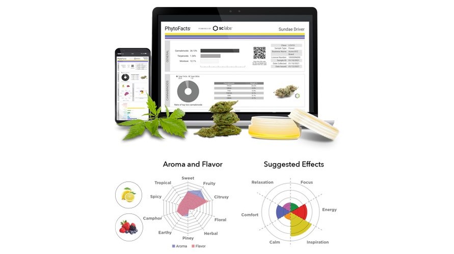 SC Labs Launches PhytoFacts® to Provide Advanced Chemometrics Reporting That Will Redefine How We Shop for Cannabis - Vimarsana News