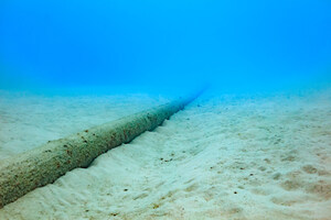 South Spanish Trail LLC Adds Microsoft, Amazon, Facebook, Equinix, and China Telecom Among Others as Defendants in $250 Million Globenet Lawsuit