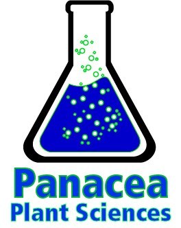 Cannabis potency patent granted by USPTO
