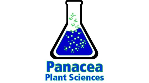Cannabis potency patent granted by USPTO - Vimarsana News