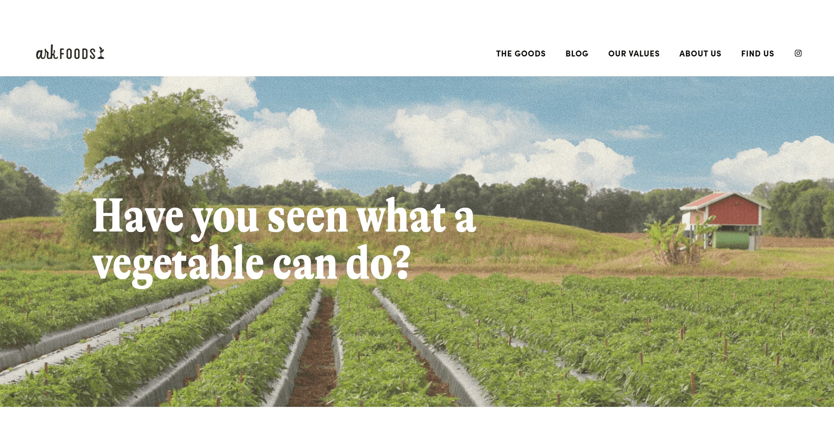 Ark Foods Launches New Website Celebrating Vegetables