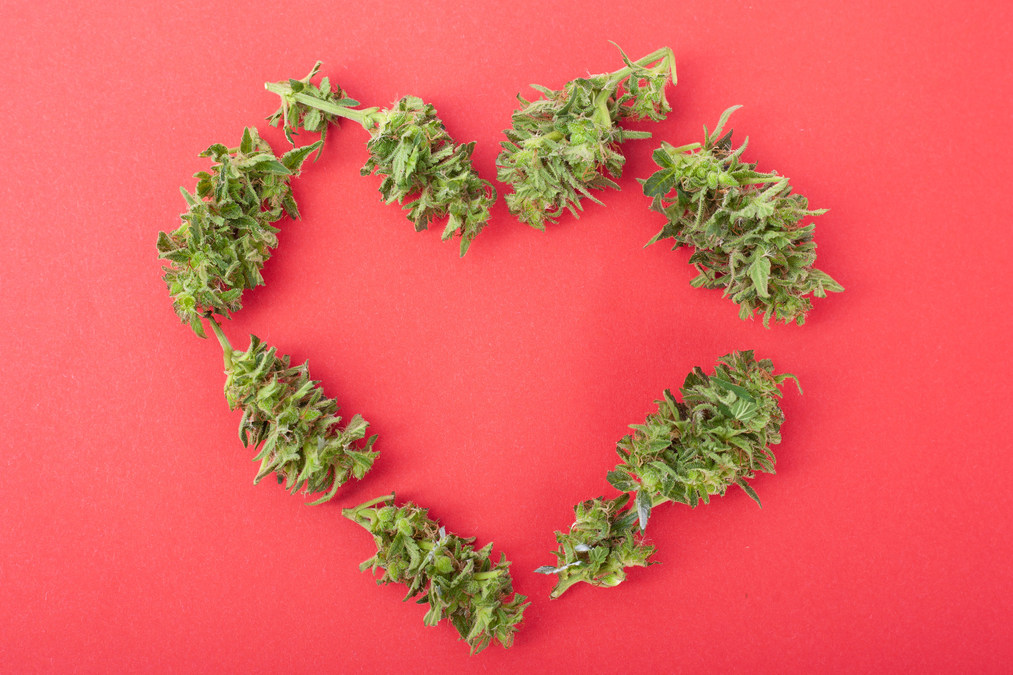Akerna Flash Report: Valentine's Day Weekend Cannabis Sales Top $170 Million, Consumer Base Trends Toward Females - Vimarsana News
