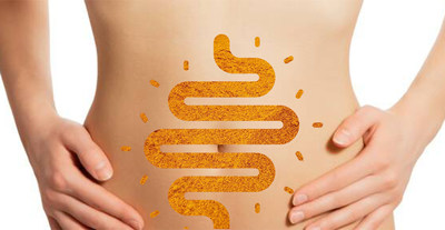 New Research on Curcumin And The “Brain” In Your Gut