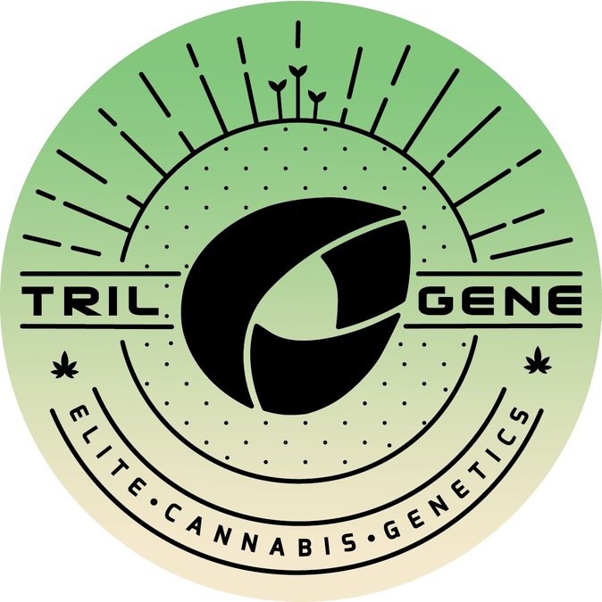 Trilogene Seeds Accelerates Cannabis Biotech Research at SIU's Saluki Innovation Lab - Vimarsana News