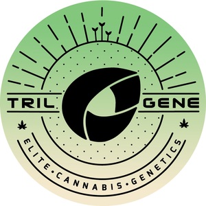 Trilogene Seeds Releases First Triploid Cannabis Seed Line