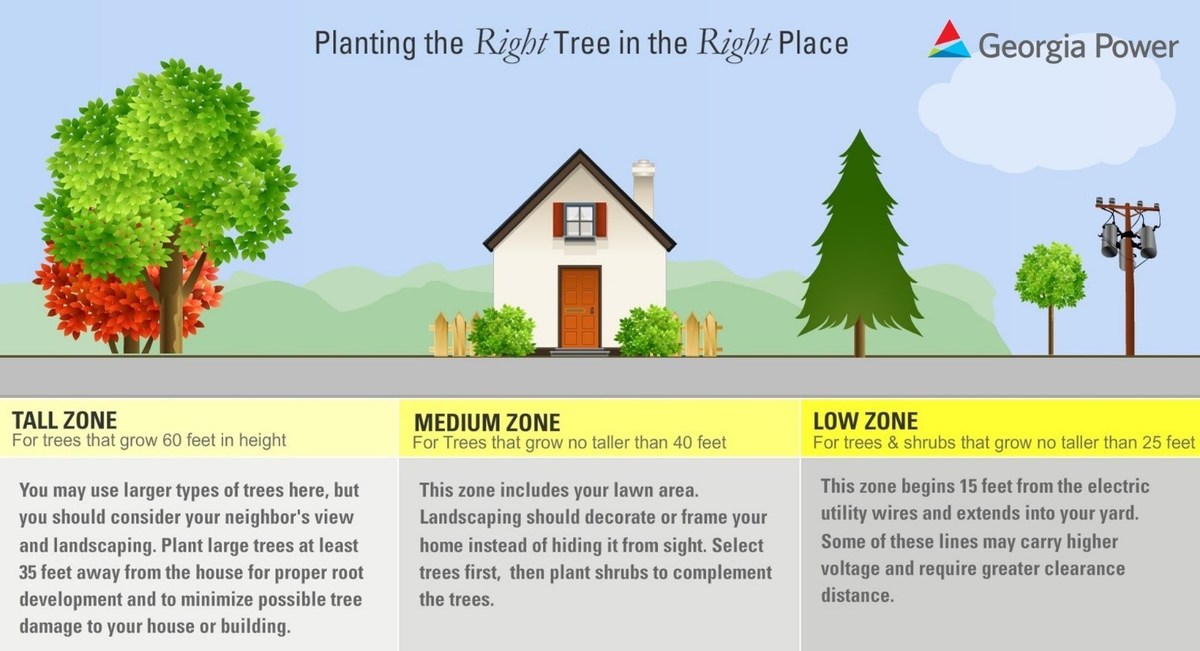Georgia Power encourages planting the right tree in the right place on Georgia Arbor Day - Vimarsana News