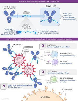 Biohaven's BHV-1200, A Multimodal Antibody Therapy Enhancer (MATE), Demonstrates Effective Neutralization Of Multiple Strains Of COVID-19