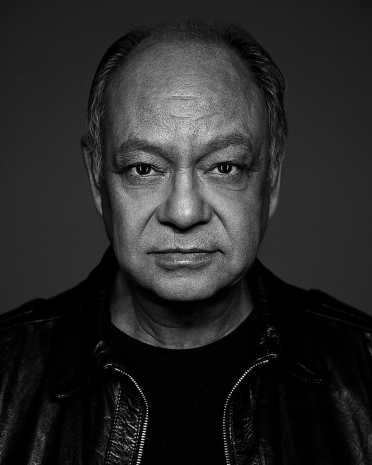 Ayurvedic Pharmaceutical Inks Distribution Deal with Cheech Marin's 'Cheech's Stash CBD' - Vimarsana News
