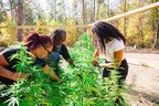 New Mentor Program for Black Hemp Farmers Announced by Charlotte's Web