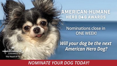 Don't make 'em wait any longer! Nominate your best friend for the 2021 Hero Dog Awards today.