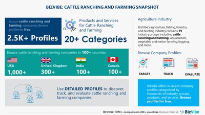 Snapshot of BizVibe's cattle ranching and farming industry group and product categories.