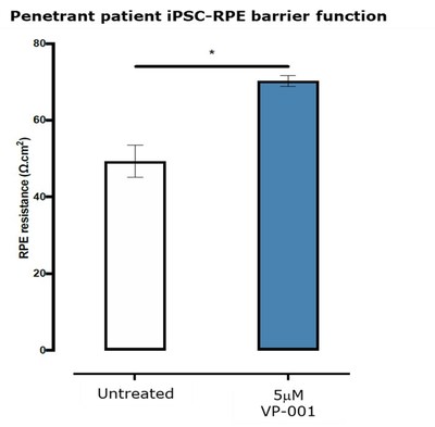 Figure 2. VP-001 treatment improves barrier function in penetrant patient iPSC-RPE Barrier function is assessed by trans-epithelial electrical resistance, T.E.E.R. (measured in Ω.cm2), with increasing Ω.cm2 representing increasing barrier function. Statistical significance calculated as one-way ANOVA *= p ≤ 0.05 in cells from a single patient across two technical replicates