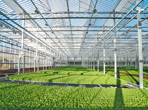 Gotham Greens Accelerates Growth With West Coast Expansion