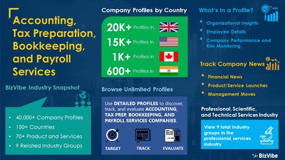 Snapshot of BizVibe's accounting, tax preparation, bookkeeping, and payroll services industry group and product categories.