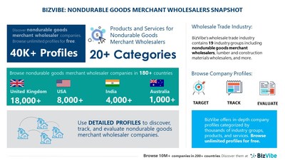 Snapshot of BizVibe's nondurable goods merchant wholesalers industry group and product categories.