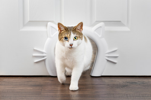 The Cat Corridor™ includes a cutting template to ensure correct sizing and screws to secure the pet door in place.