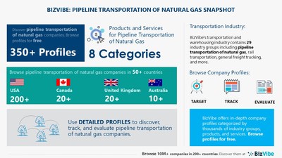 Snapshot of BizVibe's pipeline transportation of natural gas industry group and product categories.