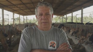 Fazenda do interior do Paraná monitora rebanho com a HughesNet