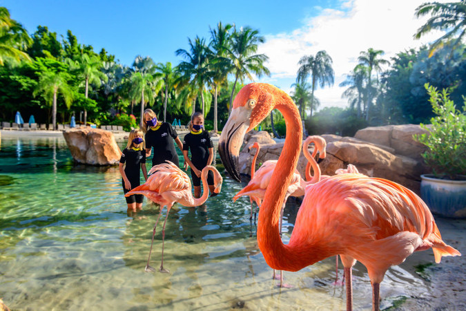 21 New Reasons to Visit Orlando this Summer - Vimarsana News