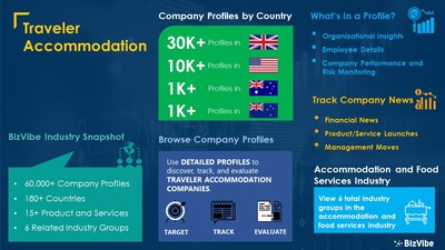 Snapshot of BizVibe's traveler accommodation industry group and product categories.