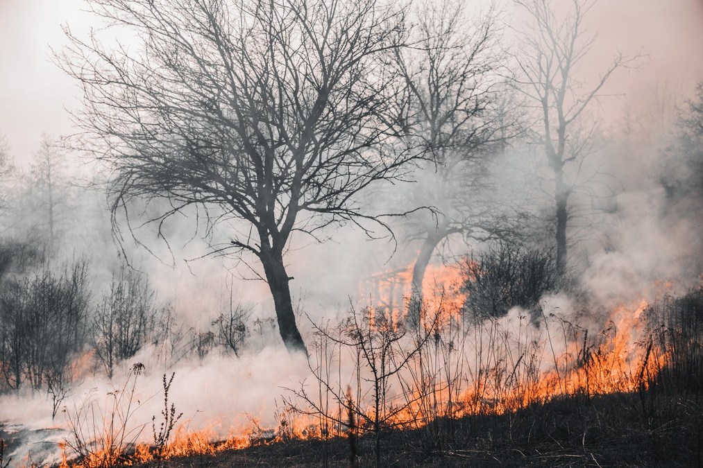 GIST Researchers Find "Best Case" Goals for Climate Warming Could Still Result in Massive Wildfire Risk - Vimarsana News