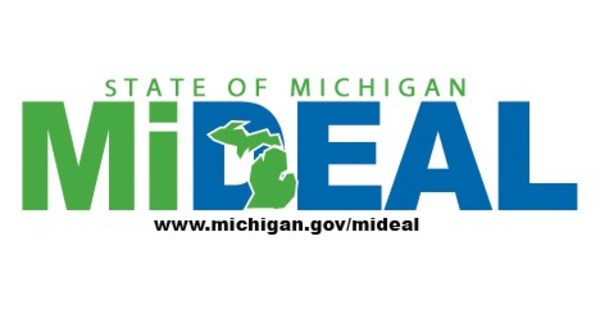 Ami Strategies Provides Services Within Michigan's Mideal