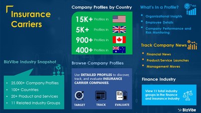 Snapshot of BizVibe's insurance carriers industry group and product categories.