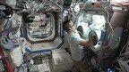 RevBio Awarded Funding to Conduct an In Vivo Bone Experiment on the International Space Station