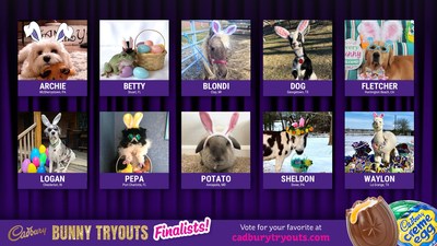 Cadbury Bunny Tryouts Finalists