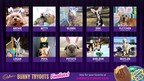 VOTE NOW - Cadbury Brand Announces 10 Finalists in 2021 Cadbury Bunny Tryouts